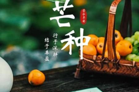 五月三日：农耕节气与生长的秘密