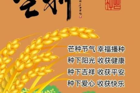 ——农耕时节，感受自然的馈赠与丰收希望