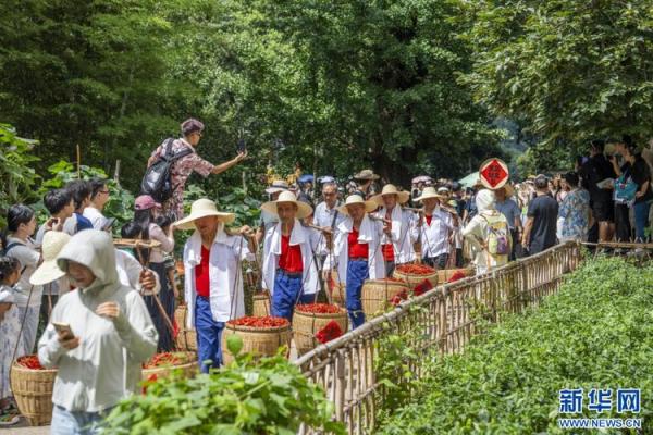 八月八日的节日意义:农耕文化中的丰收祈愿 八月八日的节日意义:农耕文化中的丰收祈愿