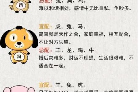 生辰八字能改运吗？合婚时这些关键因素决定你们的未来！
