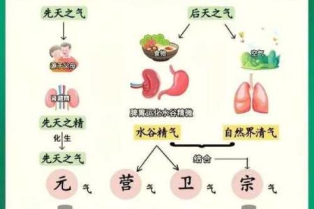 元旦与养生：新年新气运的健康启示