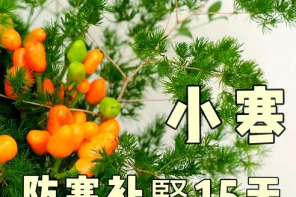 小寒与大寒节令中的农耕智慧,如何应对极寒天气 小寒与大寒节令中的农耕智慧,如何应对极寒天气