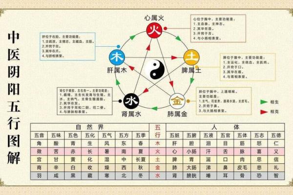 误区揭秘：五行命理如何影响你的人生