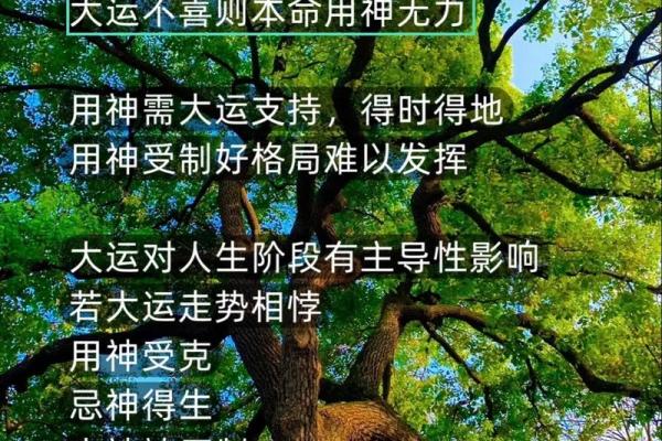 揭开命运密码:如何通过八字命理破解人生困局 揭开命运密码:如何通过八字命理破解人生困局