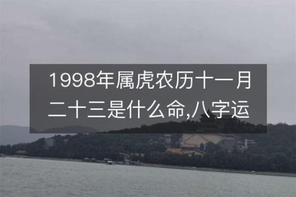 解析生辰八字双虎，命运不同如何影响婚姻和事业？