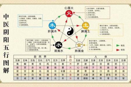 误区揭秘：五行命理如何影响你的人生