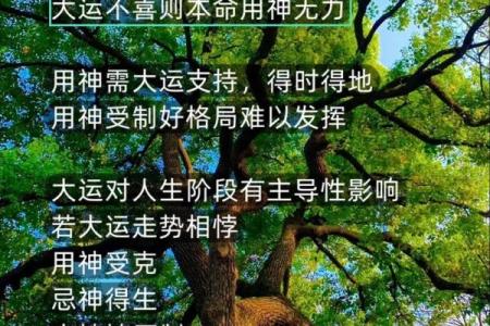 揭开命运密码：如何通过八字命理破解人生困局