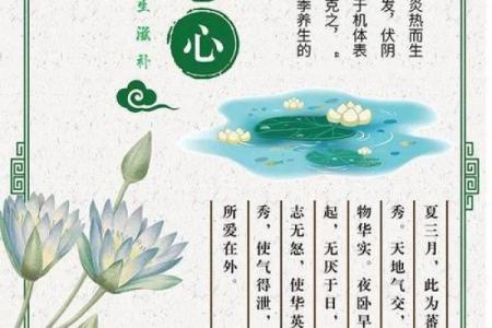 夏日养生节:从传统文化到现代应用的智慧