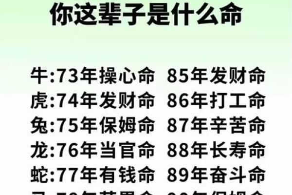 八字命理基础,探索改变命运的秘密钥匙 八字命理基础,探索改变命运的秘密钥匙