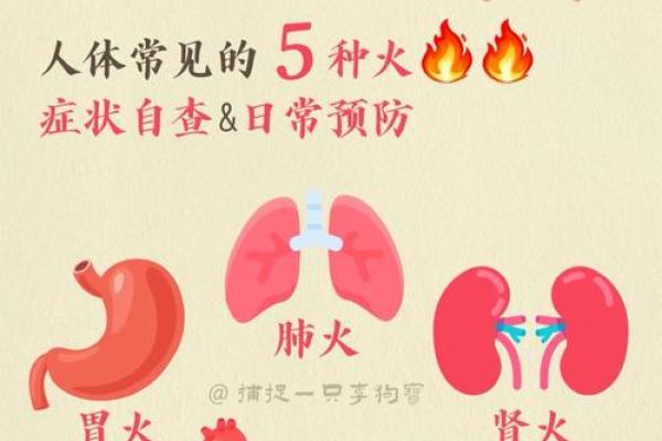 养生之道:结合时节变化调整身体调养 养生之道:结合时节变化调整身体调养