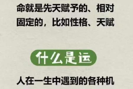 解析八字命理：能改运吗？如何通过合婚揭示命运不同的真相