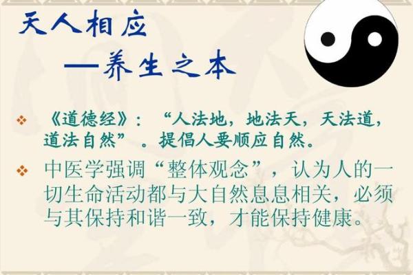 俄罗斯传统新年:习俗与养生之道 俄罗斯传统新年:习俗与养生之道