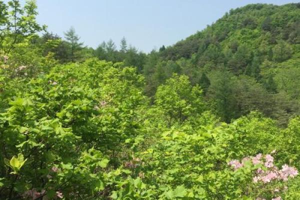 从天文现象看三月初三:这一节日的自然启示 从天文现象看三月初三:这一节日的自然启示