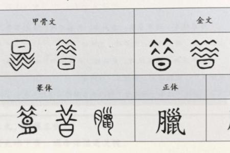 腊月文化探源：从腊祭到年终的文化符号