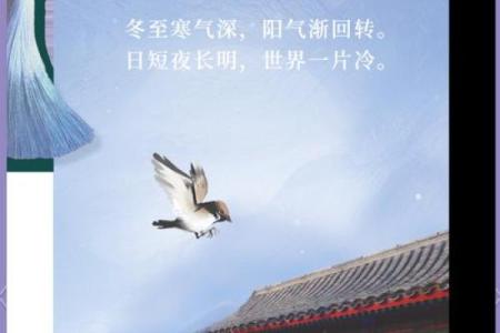 冬至：探秘这一节气对农耕和饮食的深远影响