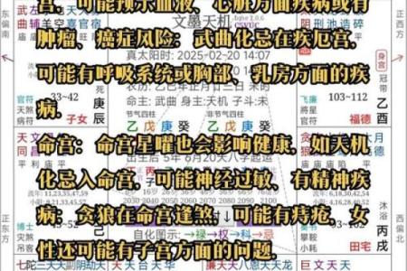 八字命运密码：如何通过命理破解人生暗藏玄机