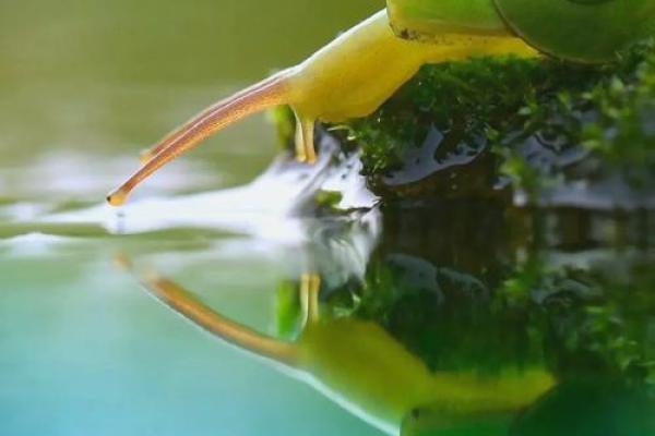 春节:感受农耕文化的传承与天文智慧 春节:感受农耕文化的传承与天文智慧