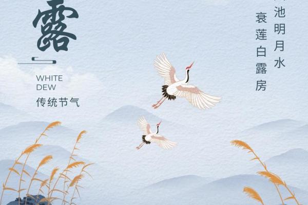 白露,如何根据农耕习俗规划您的日常生活 白露,如何根据农耕习俗规划您的日常生活