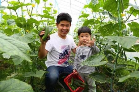 与父亲一起共度农耕节日,礼物有何不同?