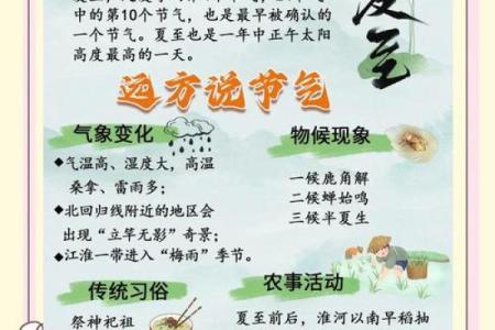 夏至养生：一年中最阳光的日子，如何调养身心