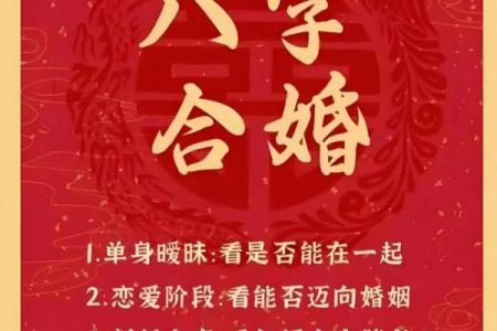 生辰八字属鸡的命运揭示：合婚时哪些方面影响最大？