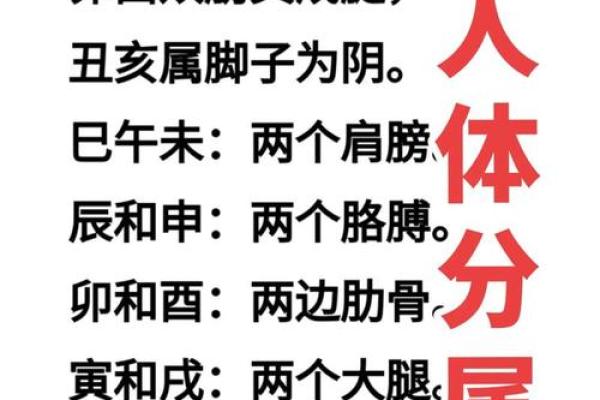 八字命理到底能改变命运吗?你所忽视的关键因素 八字命理到底能改变命运吗?你所忽视的关键因素