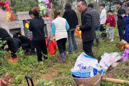 清明节的扫墓习俗与家族文化的延续