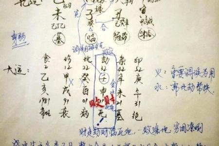 井柏然五行格局揭秘：性格中的隐藏能量，如何通过命理改变人生轨迹