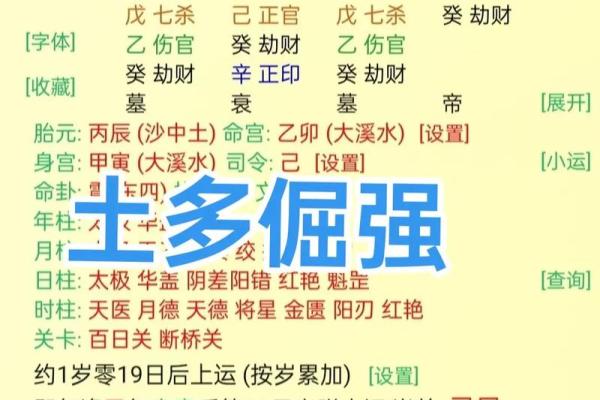 性格解析误区:段氏盲派如何揭示五行格局的真正影响 性格解析误区:段氏盲派如何揭示五行格局的真正影响