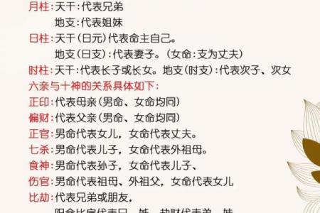 命运不同,选房有差别?八字解析如何影响居住环境的运势
