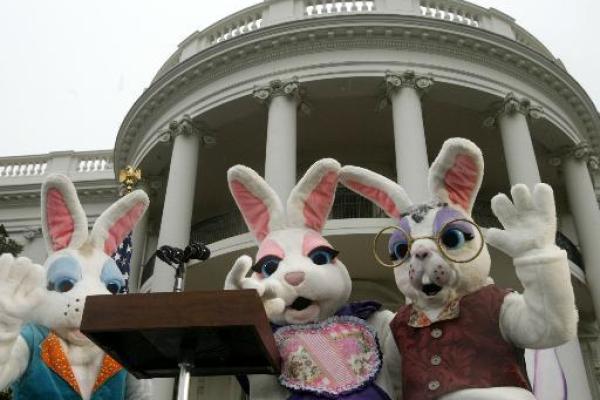 春节与美国复活节的养生理念对比