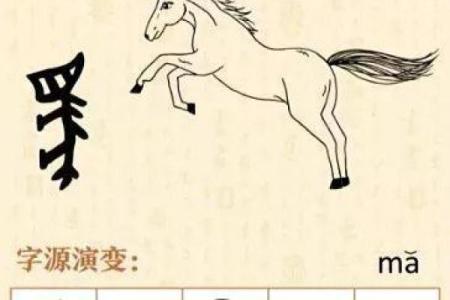 命运密码揭秘：马伊俐八字中的暗藏玄机，能否改变她的命运？