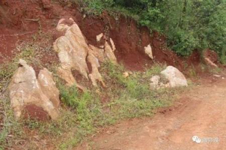 了解节令变化对农业生产的深远影响