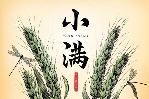 小满节气到,如何通过天文现象调整作息 小满节气到,如何通过天文现象调整作息