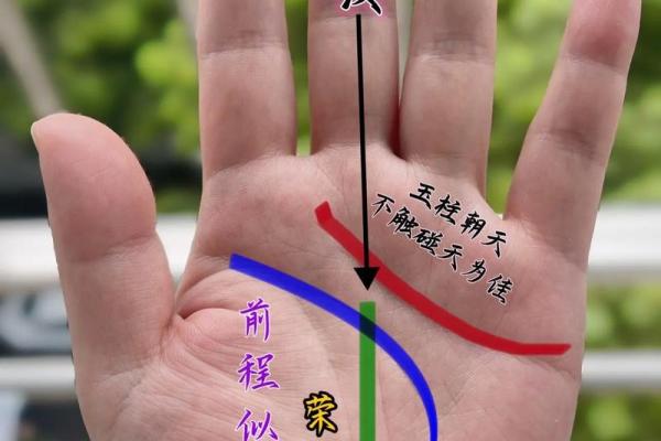 属虎生辰八字能改运吗解析命运的奥秘 属虎生辰八字能改运吗解析命运的奥秘