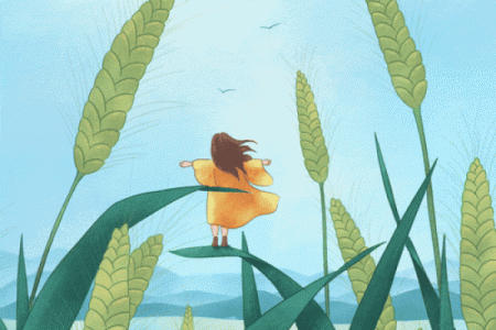 小满节气到，如何通过天文现象调整作息