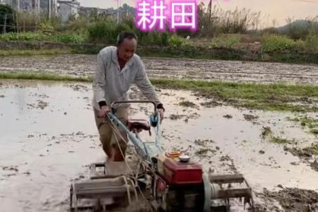 春耕开始，农民节令如何影响田间管理