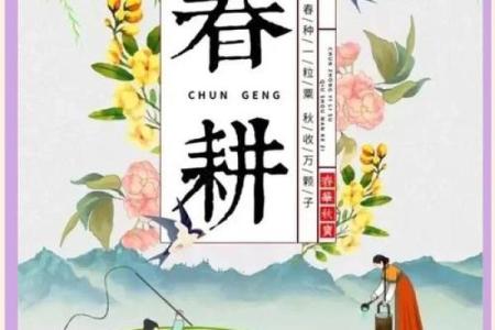 走进古尔邦节：天文与农耕的节日相遇