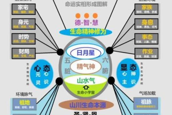 香港命理揭秘:命运密码背后的暗藏玄机,如何改变人生轨迹 香港命理揭秘:命运密码背后的暗藏玄机,如何改变人生轨迹