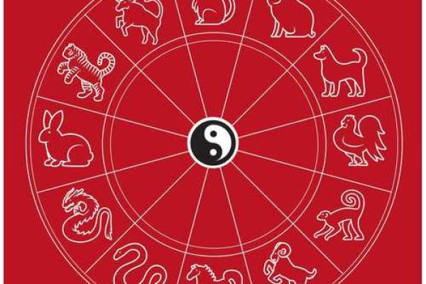 命运密码解密：命理六合背后的神秘力量