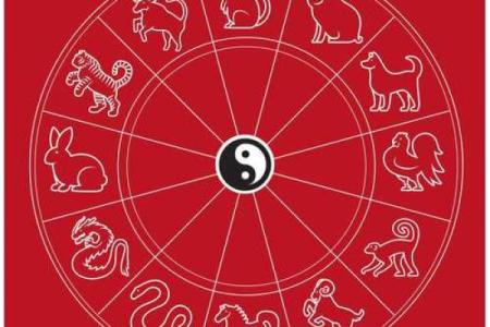 命运密码解密：命理六合背后的神秘力量