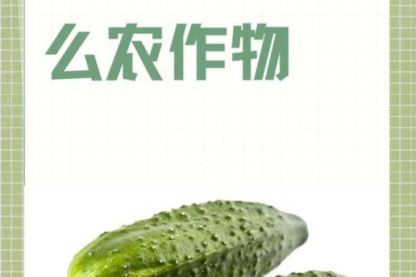 节气变化对作物生长的影响与农事安排 节气变化对作物生长的影响与农事安排