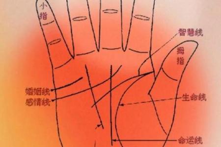 早产儿八字中暗藏玄机，如何避免常见的命运误区