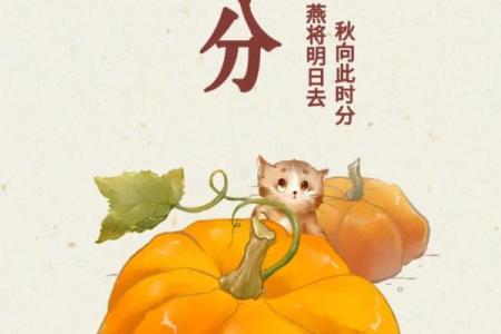 秋冬交替，的养生文化与习俗