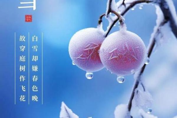 山东大雪节气：古老节令与养生智慧的完美结合