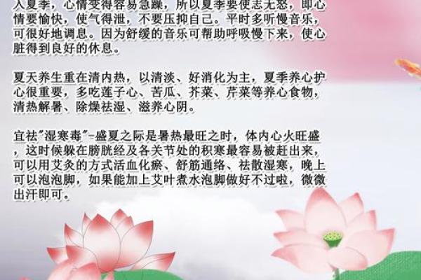 夏季养生与节气转折的巧妙平衡