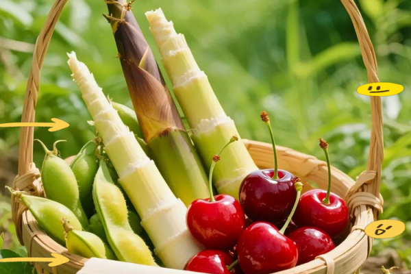 哈萨克族库尔班节:传统习俗与现代养生的碰撞 哈萨克族库尔班节:传统习俗与现代养生的碰撞