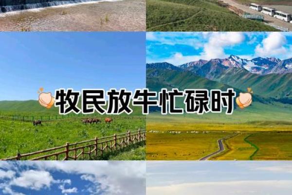 从新疆的节庆看农耕文化的繁荣 从新疆的节庆看农耕文化的繁荣