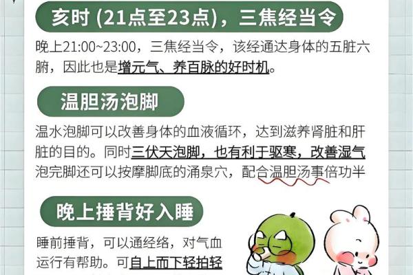 从节令看养生:如何根据节日调整饮食和作息 从节令看养生:如何根据节日调整饮食和作息