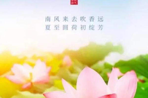 六月初六节气养生与健康的传统智慧 六月初六节气养生与健康的传统智慧